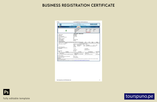 listo para imprimir Certificado de registro de India Udyog Aadhaar Plantilla d 1